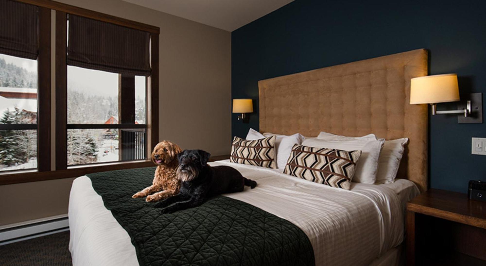 อีโวลูชั่น วิสต์เลอร์ Aparthotel ภายนอก รูปภาพ